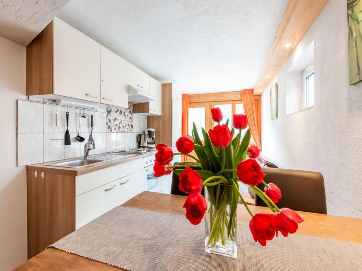Apartment In The Silvretta-Montafon Ski Area Sankt Gallenkirch Exteriér fotografie